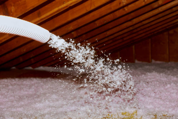 Insulation Repair Services in Quitman, TX