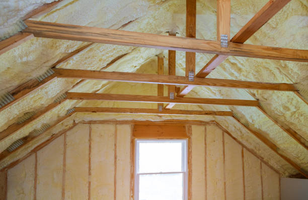 Best Insulation Repair Services  in Quitman, TX