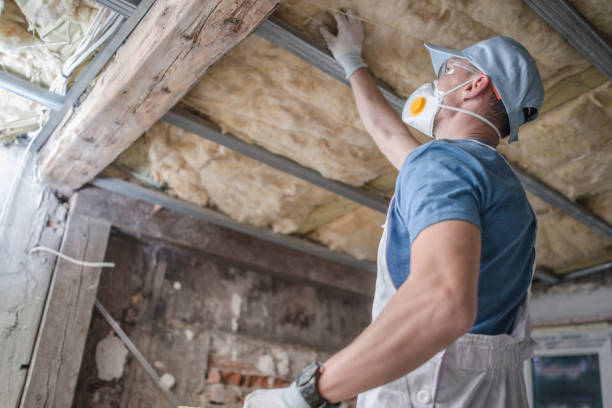 Best Insulation Inspection Services  in Quitman, TX