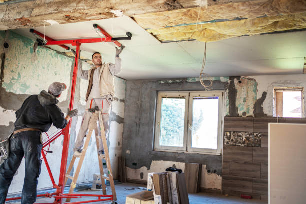 Best Professional Insulation Contractor  in Quitman, TX