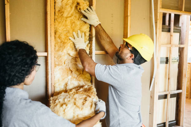 Best Fiberglass Insulation  in Quitman, TX
