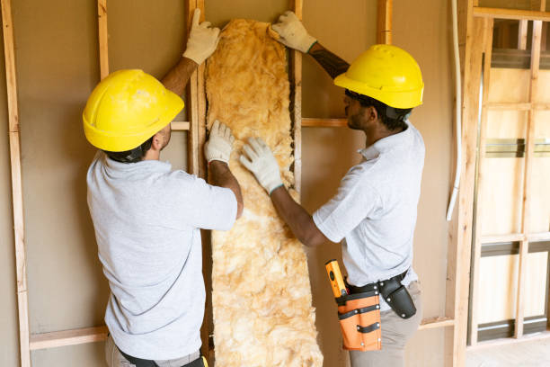 Best Insulation Inspection Services  in Quitman, TX
