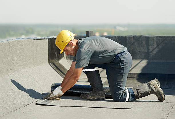 Best Spray Foam Insulation  in Quitman, TX