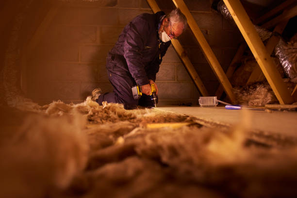Best Insulation for New Construction  in Quitman, TX